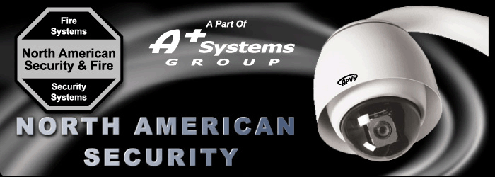 American Systems Group 21